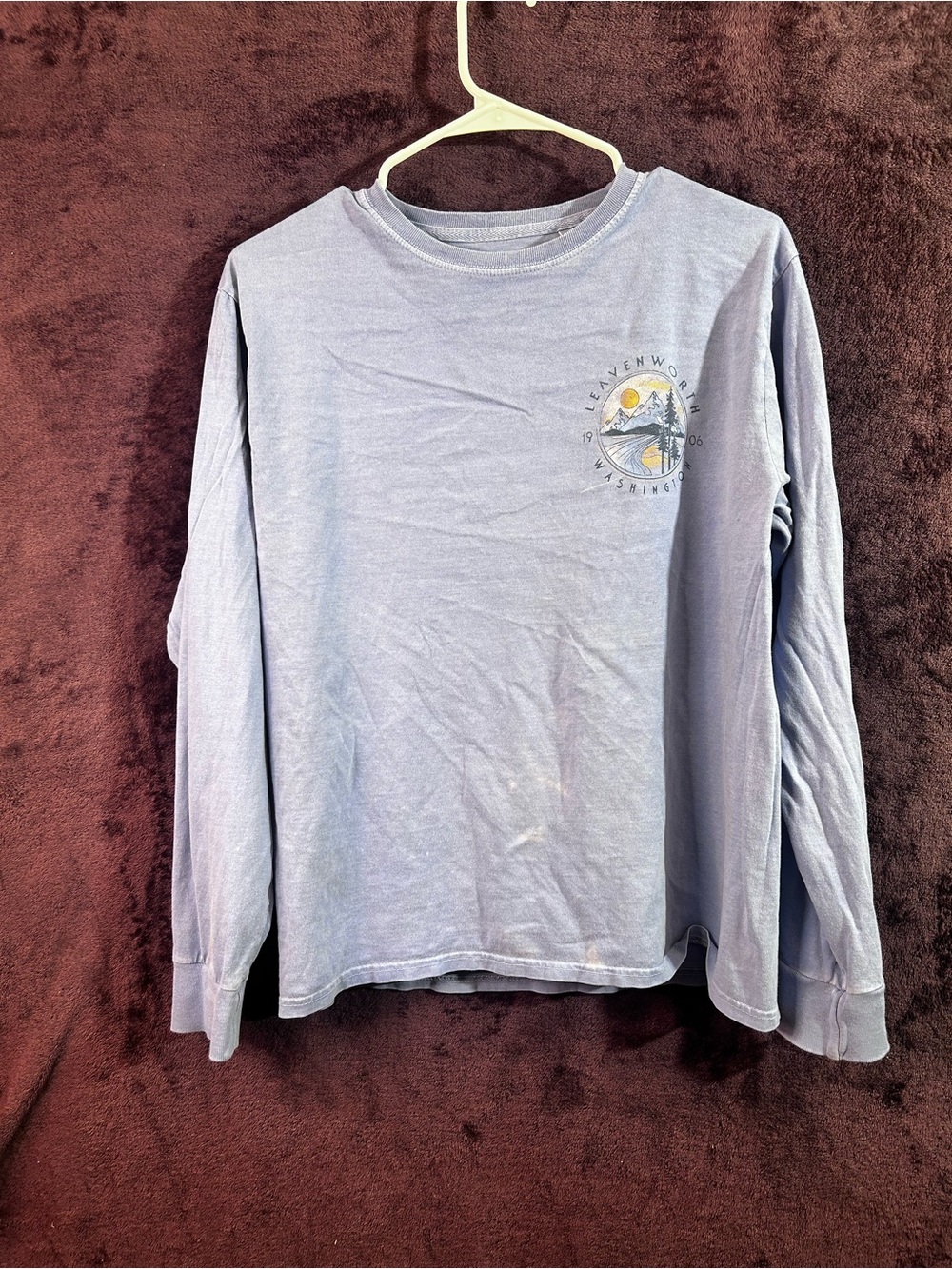Blue Life Light Blue Long-Sleeve Graphic Tee with Small Chest Print